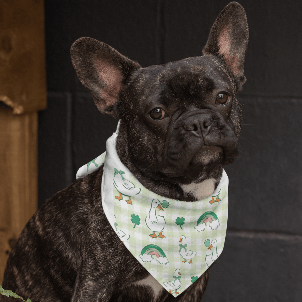 Lucky Ducks Bandana - Pre Order - Jersey Border Collars