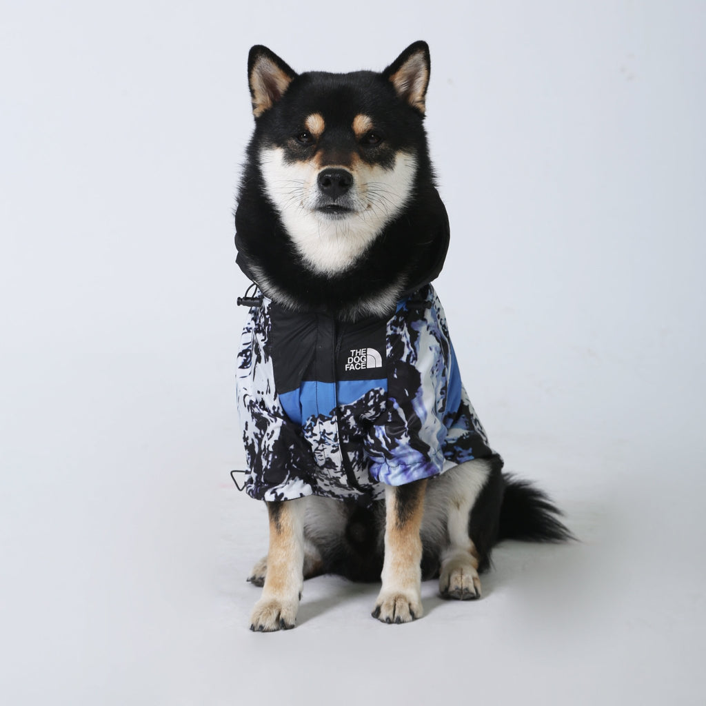 The Dog Face Blue Mountain Windbreaker Jacket - Jersey Border Collars