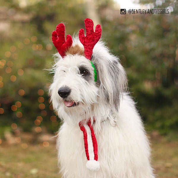 Holiday Antler Headband (2 sizes) - Jersey Border Collars