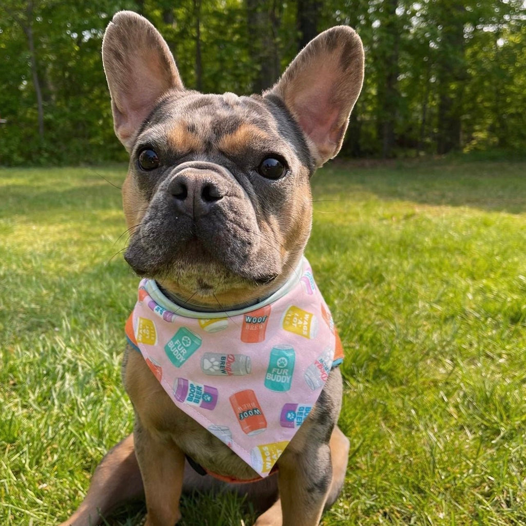 Pink Brew Buddy Bandana - Reversible - Jersey Border Collars