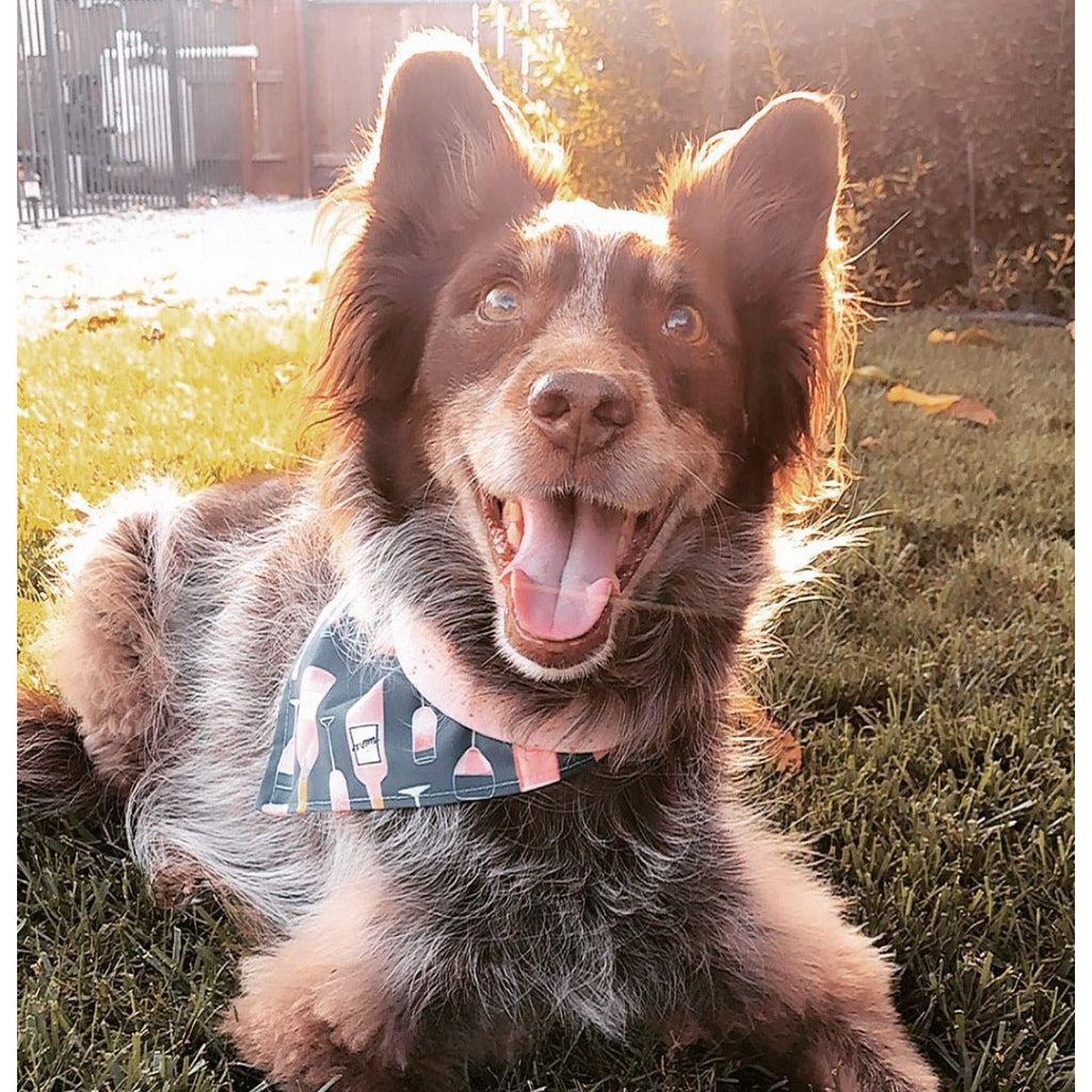 Rose' All Day Bandana - Reversible - Jersey Border Collars