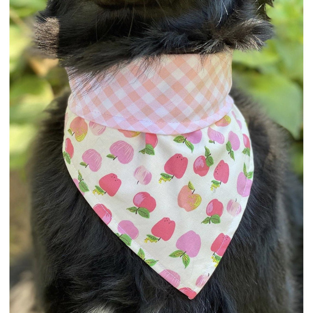 Apple Orchard Plaid Bandana - Reversible - Jersey Border Collars