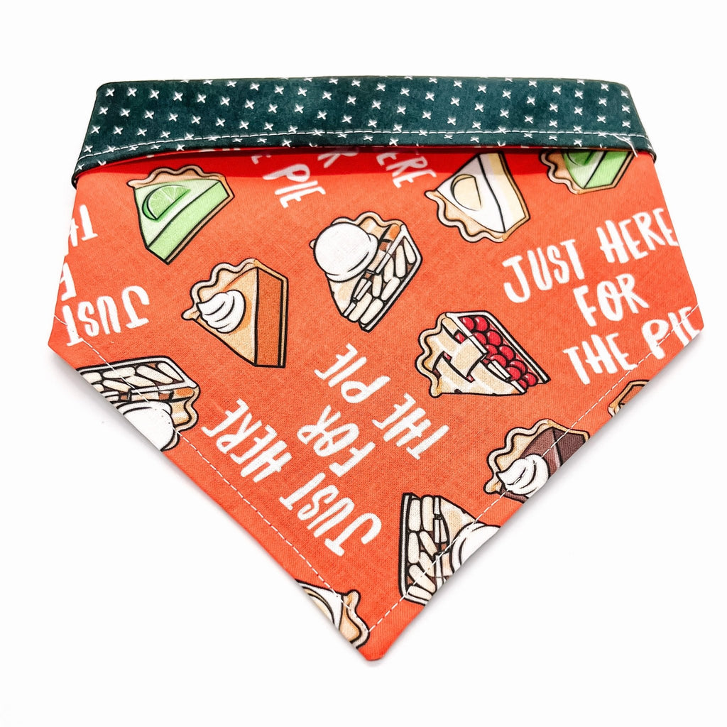 Just Here For The Pie Bandana - Reversible - Jersey Border Collars