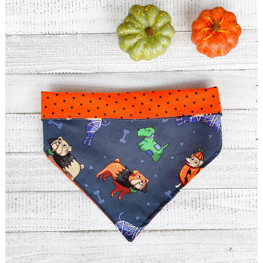 Halloween Dog Costume Bandana - Reversible - Jersey Border Collars