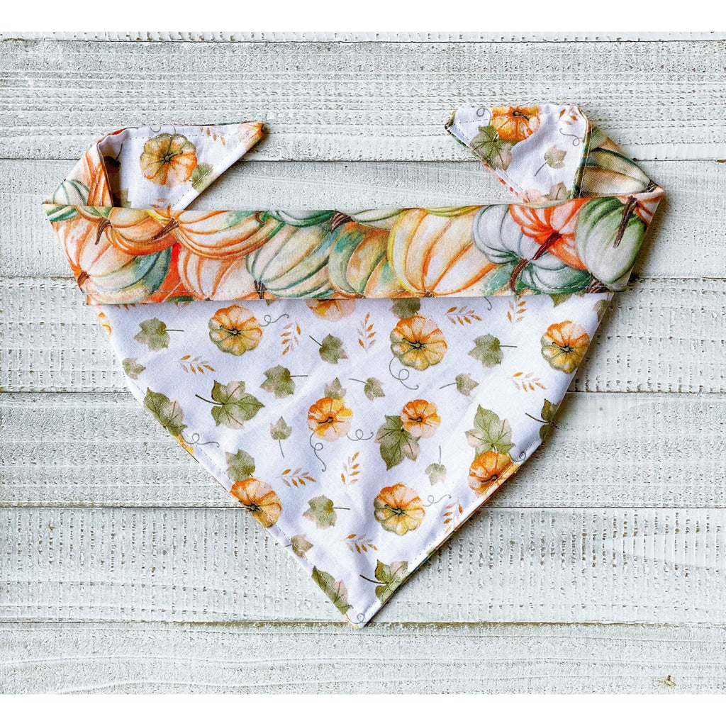 Pumpkin Patch Bandana - Reversible - Jersey Border Collars