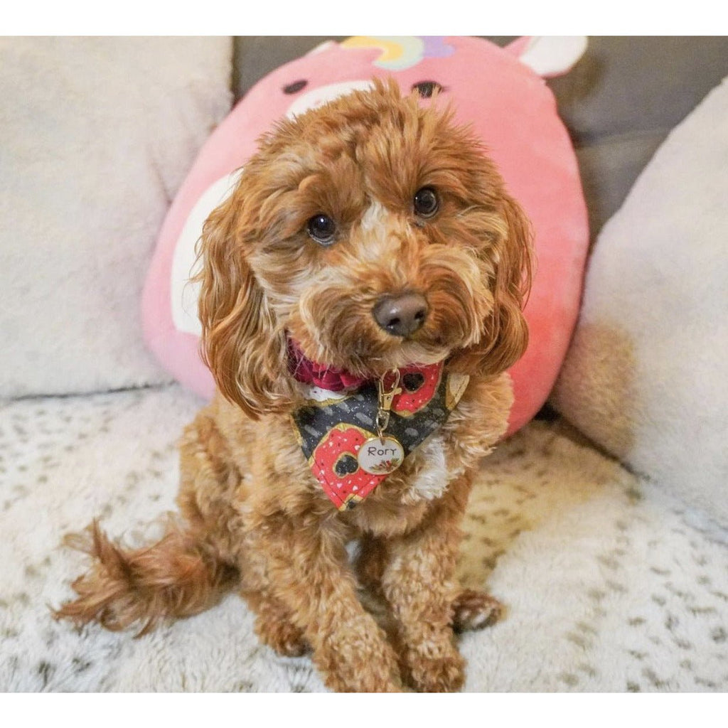 Donut Hearts Bandana - Jersey Border Collars