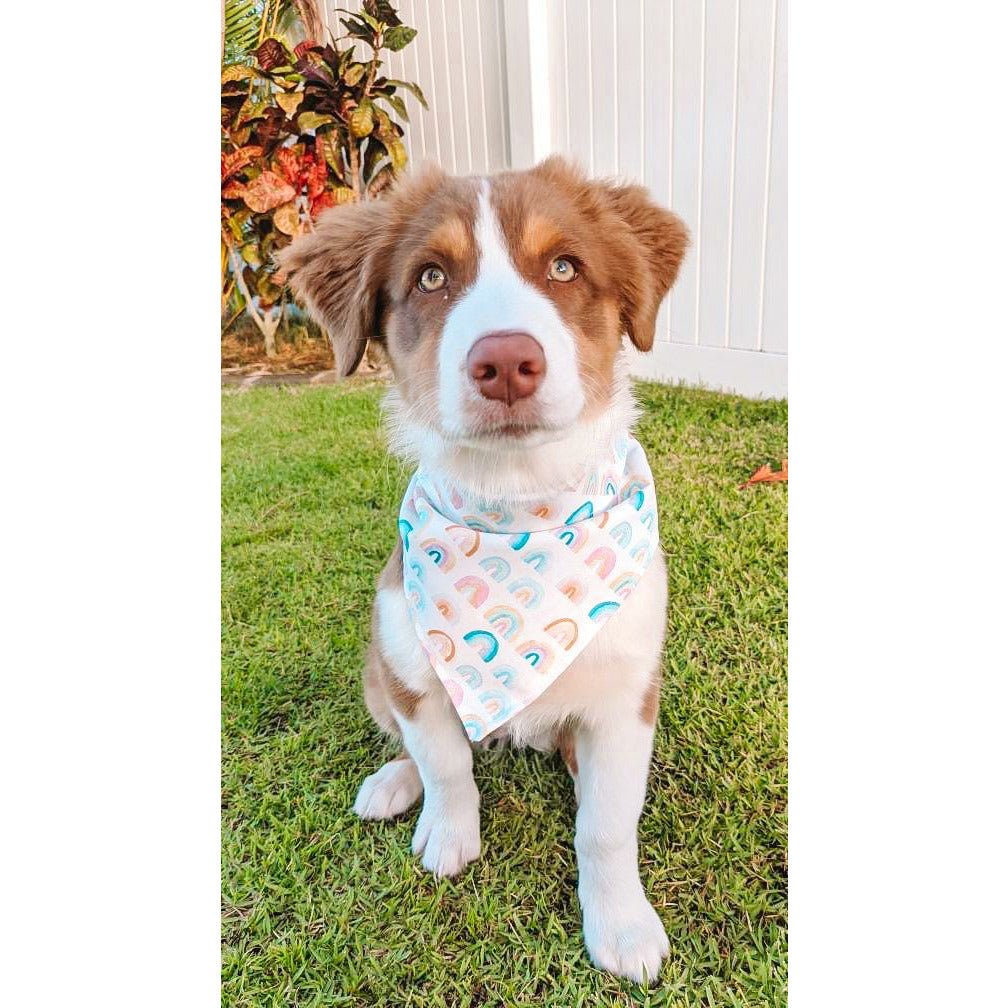 Rainbow Vibes Bandana - Jersey Border Collars