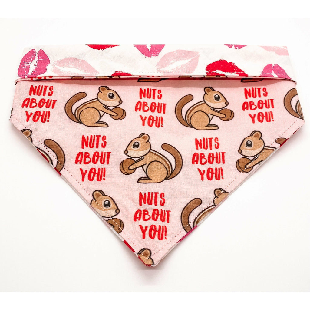 Nuts About You / Kisses Bandana - Reversible - Jersey Border Collars