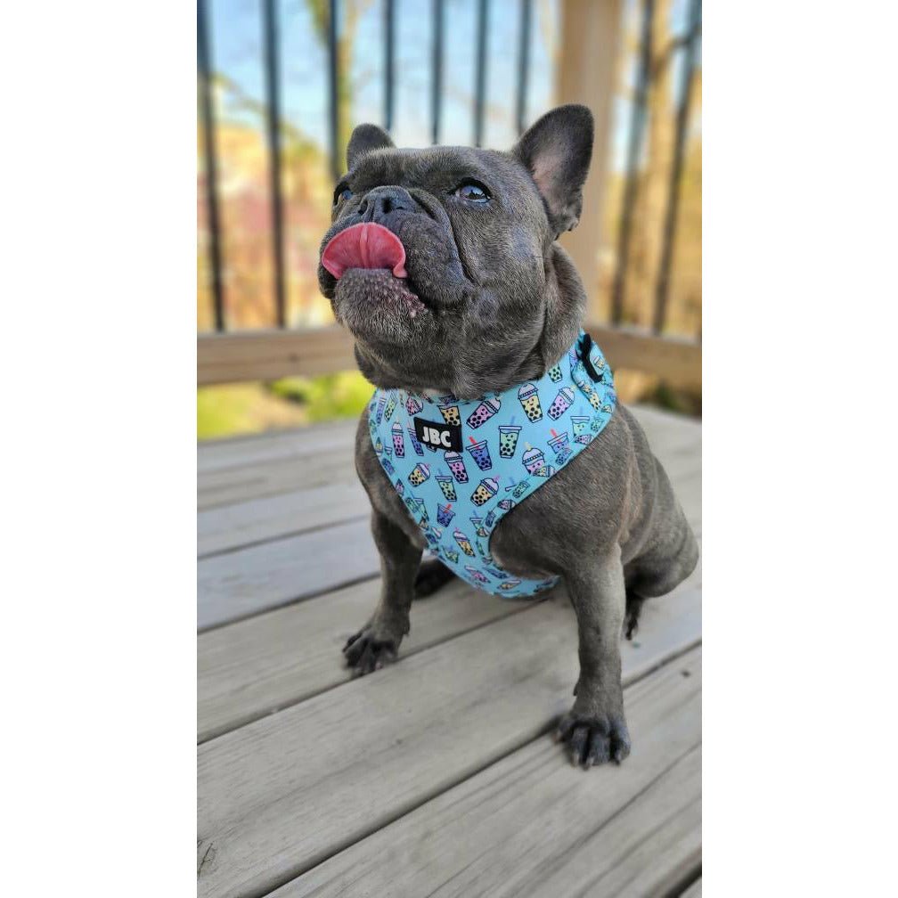 Blue Bobalicious Adjustable Harness - Jersey Border Collars