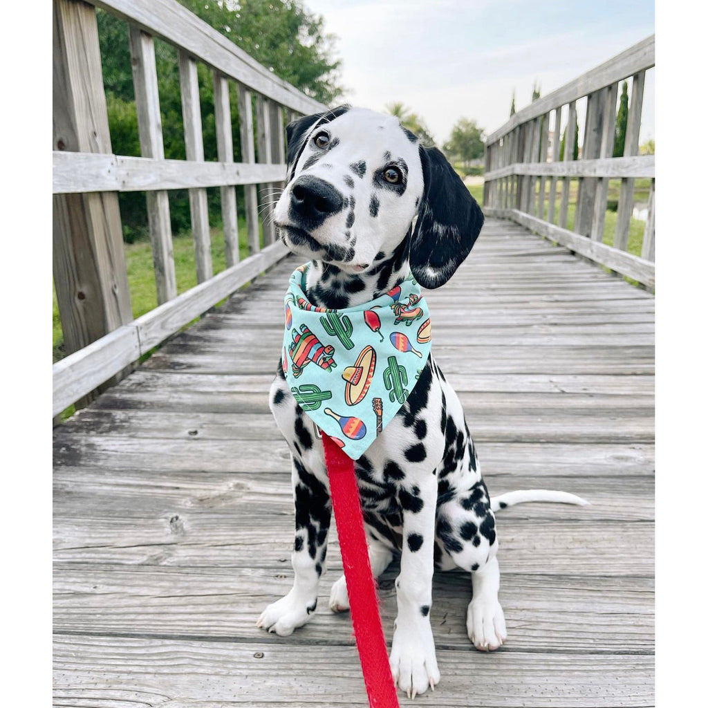 Fiesta Bandana - Jersey Border Collars