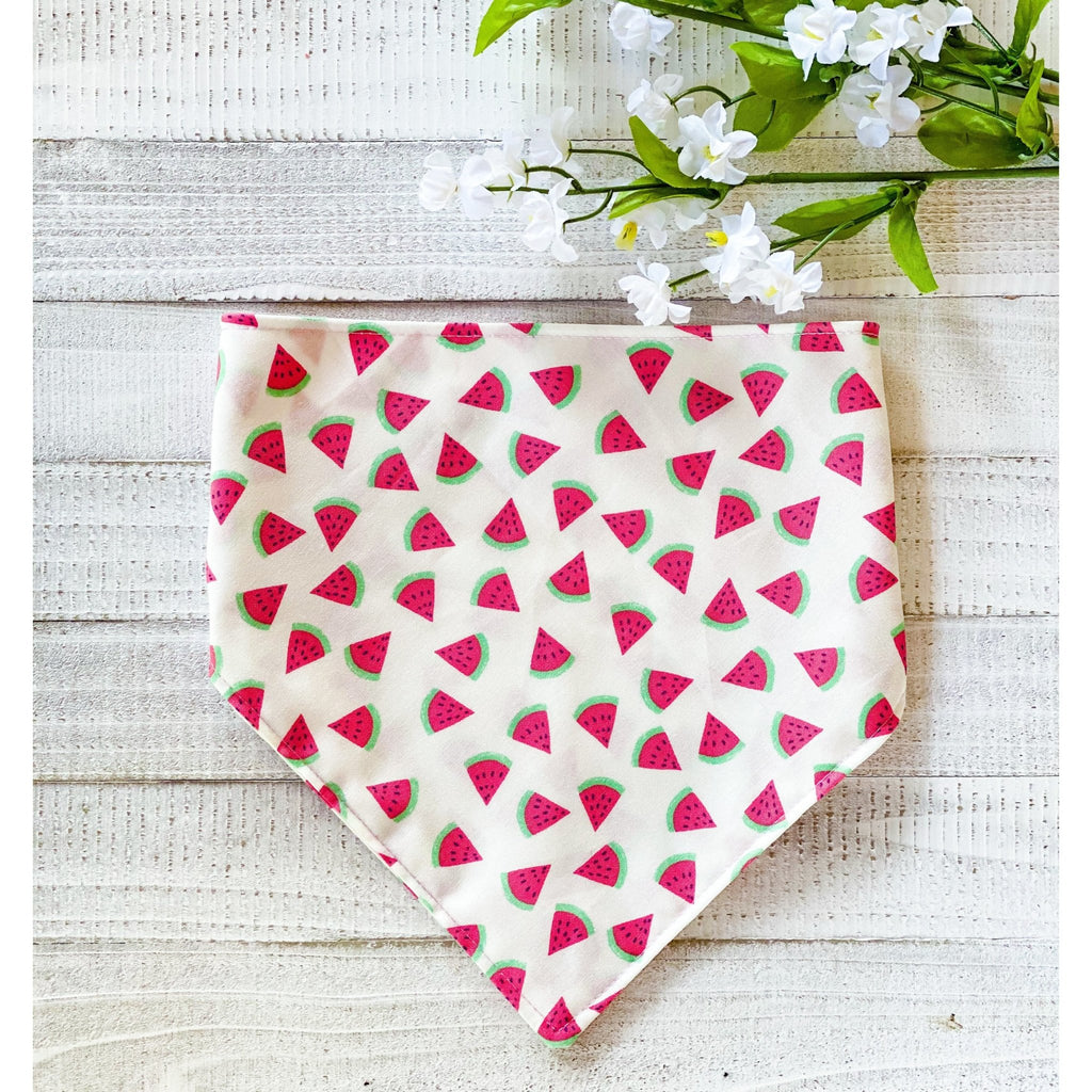 Juicy Watermelon Bandana - Jersey Border Collars