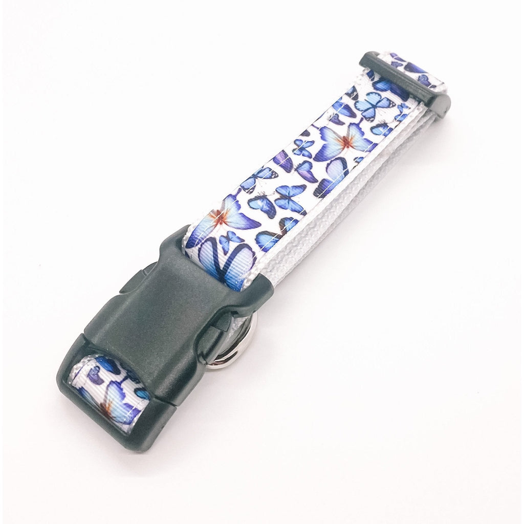 Blue Butterfly Adjustable Collar - Jersey Border Collars