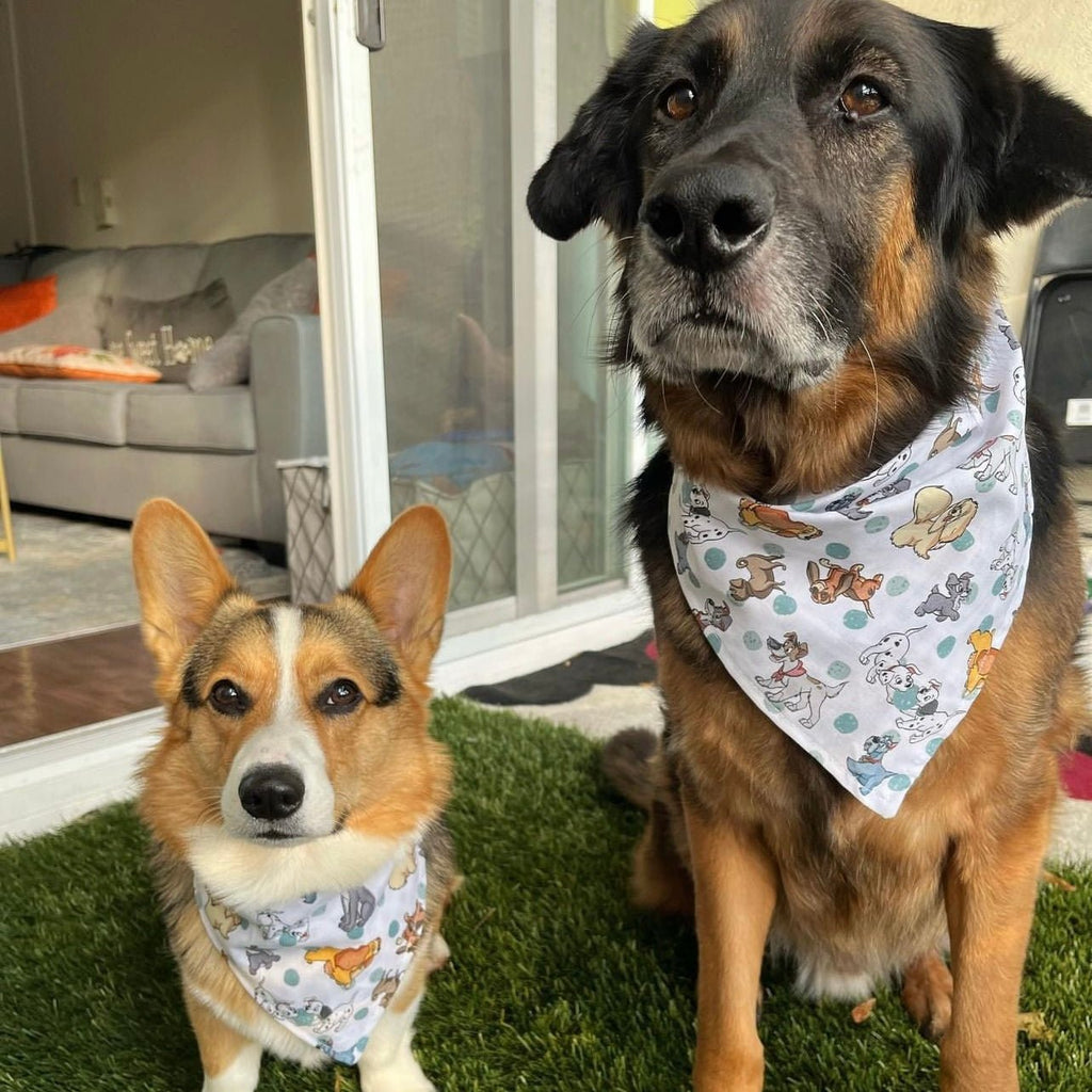 Disney Dogs / Plaid Bandana - Reversible - Jersey Border Collars