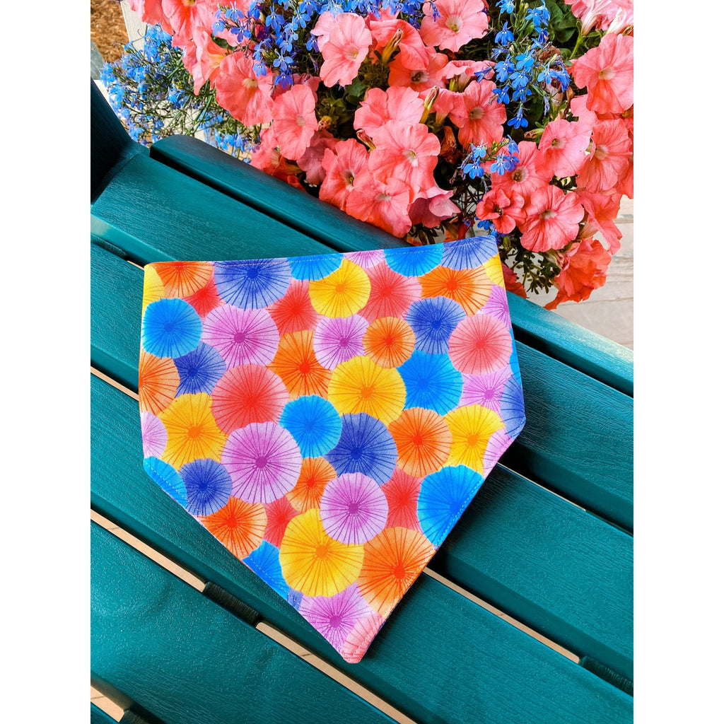 Color Bloom Bandana - Jersey Border Collars