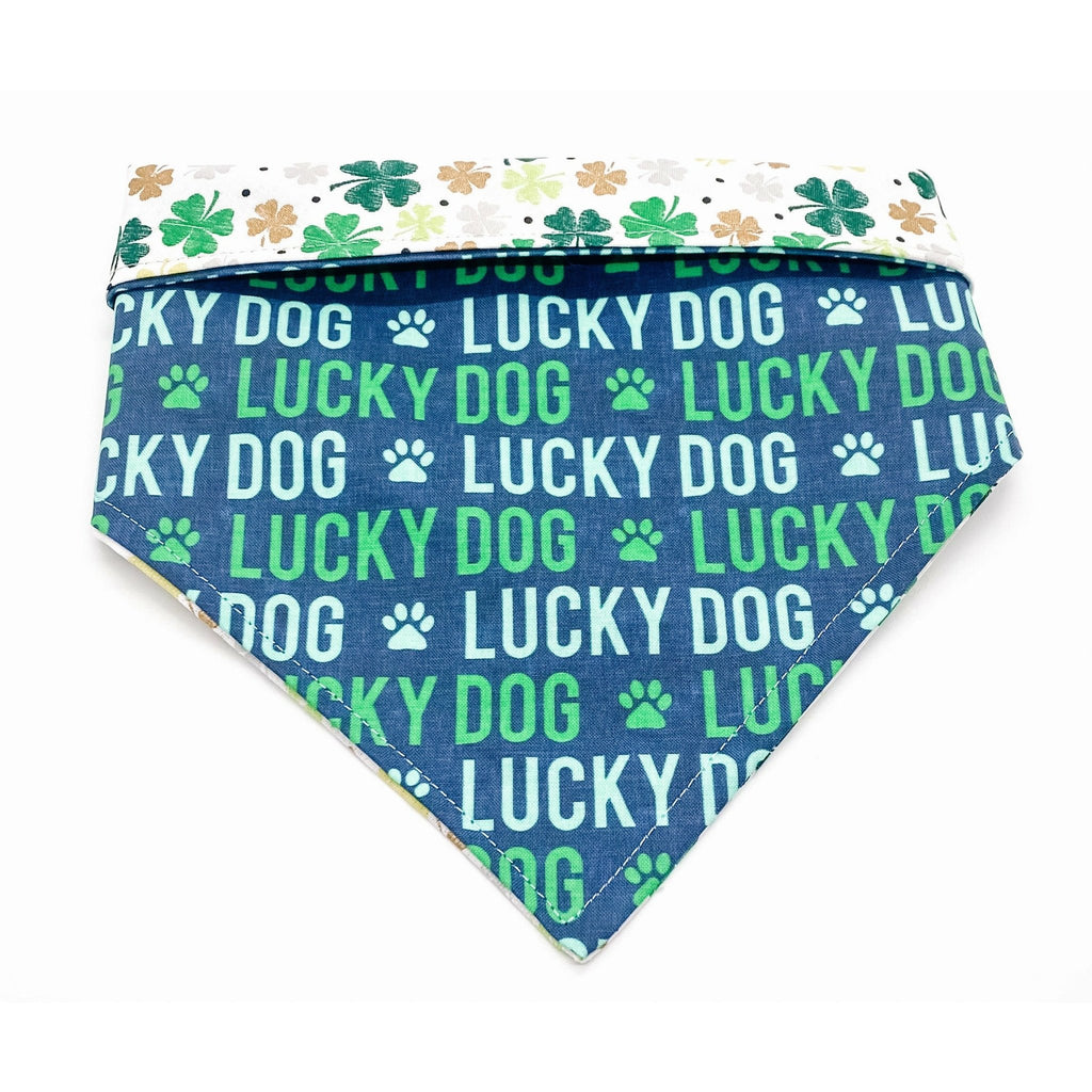 Lucky Dog / Clover - Reversible - Jersey Border Collars