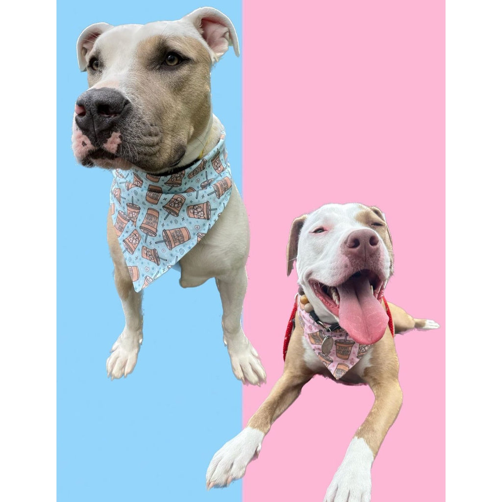 I Love My Mom A Latte / Blue Bandana - Jersey Border Collars