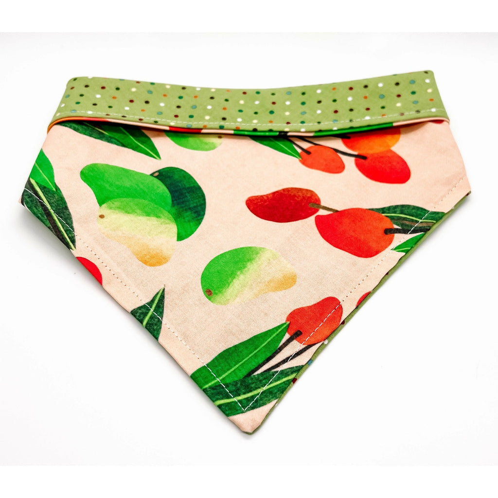 Mango Tango Bandana - Reversible - Jersey Border Collars