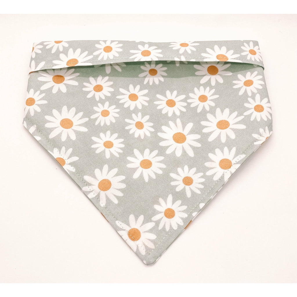 Daisy Bandana - Jersey Border Collars