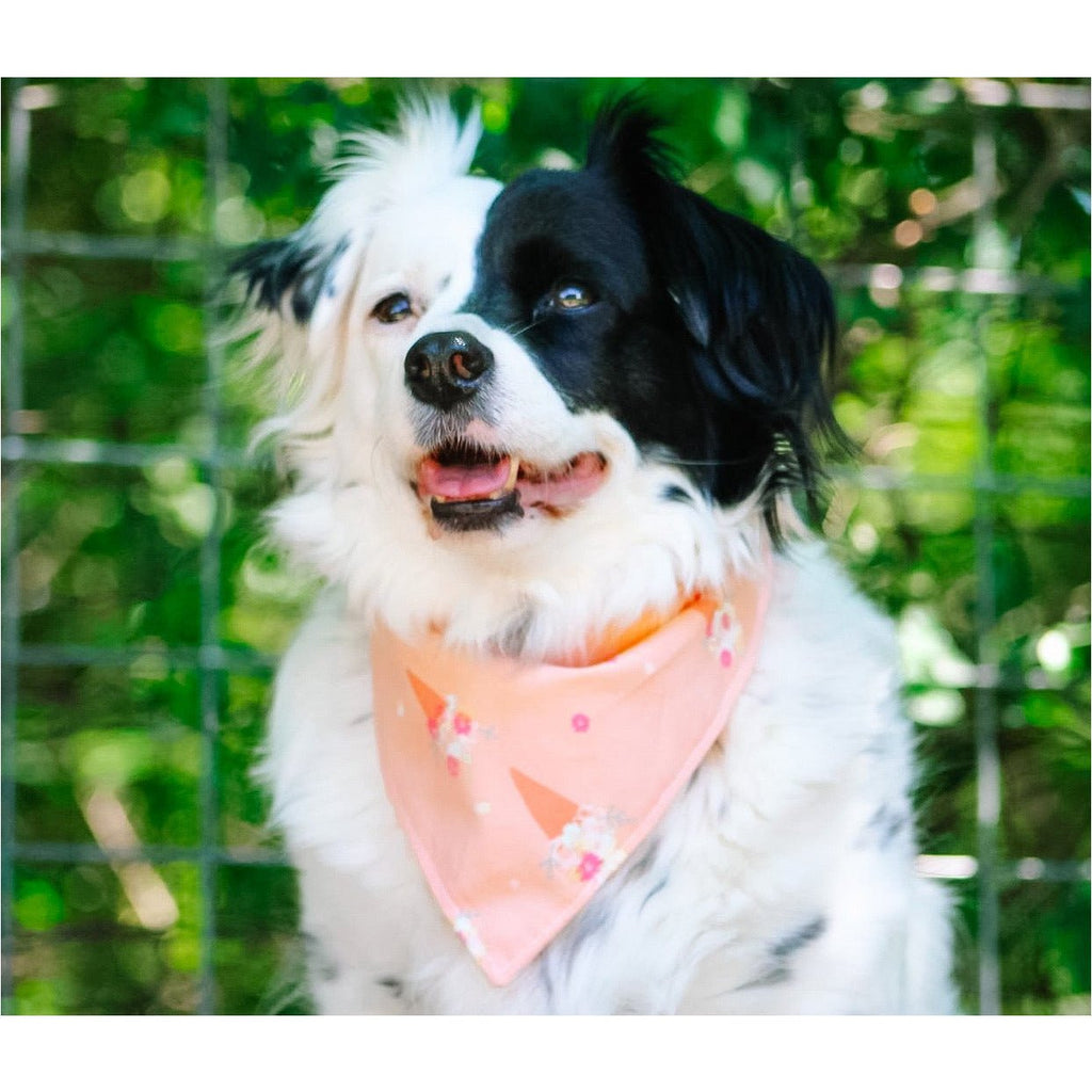 Blooming Ice Cream Bandana - Jersey Border Collars