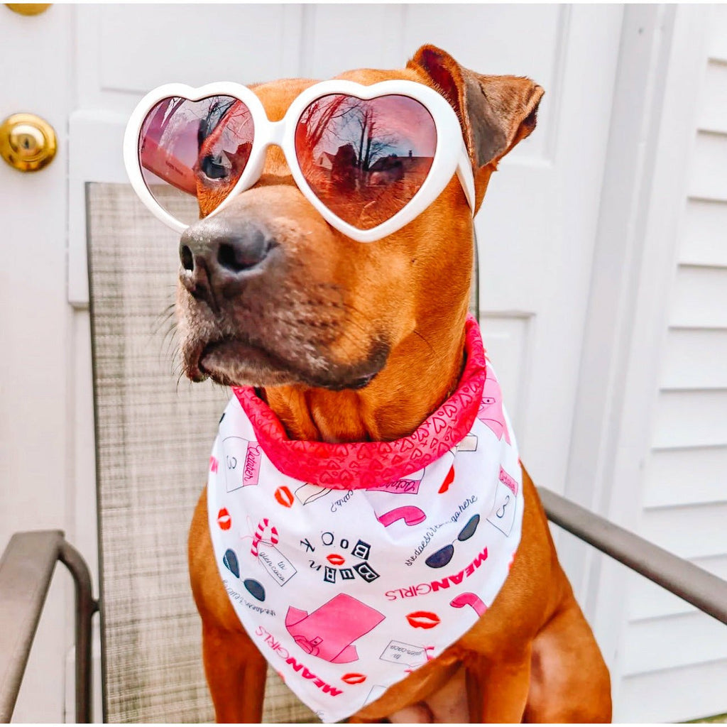 On Wednesdays We Wear Pink / Mean Girls Bandana - Reversible - Jersey Border Collars