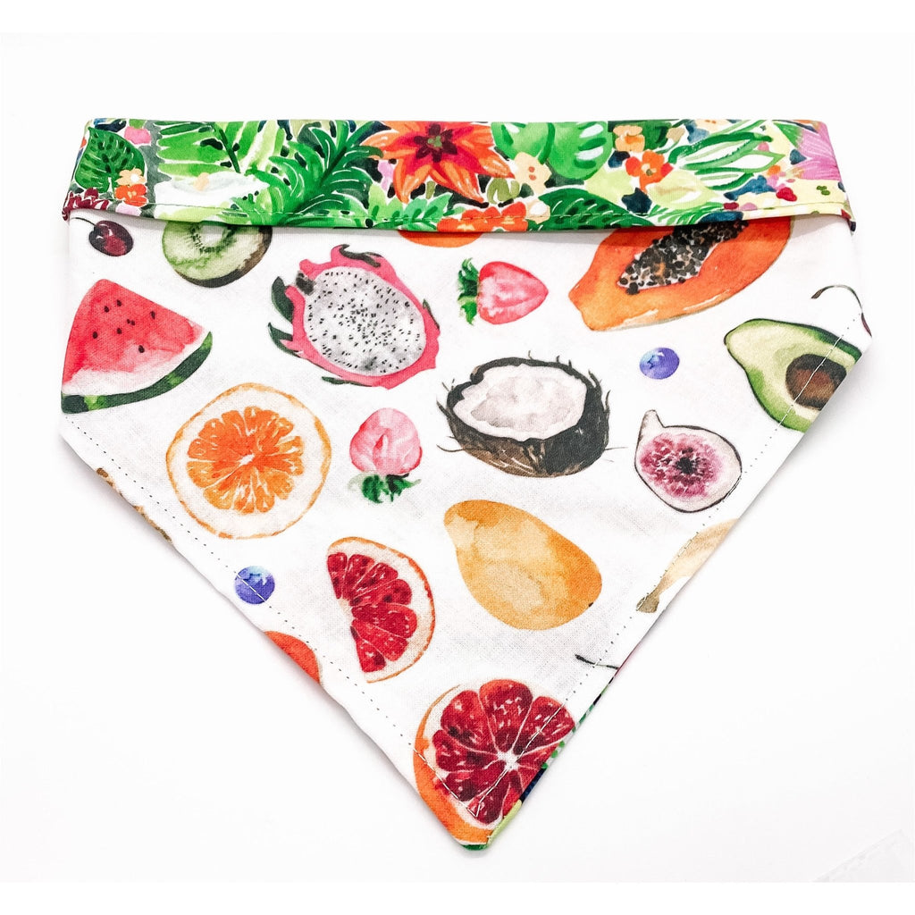 Fruit / Tropical Bandana - Reversible - Jersey Border Collars