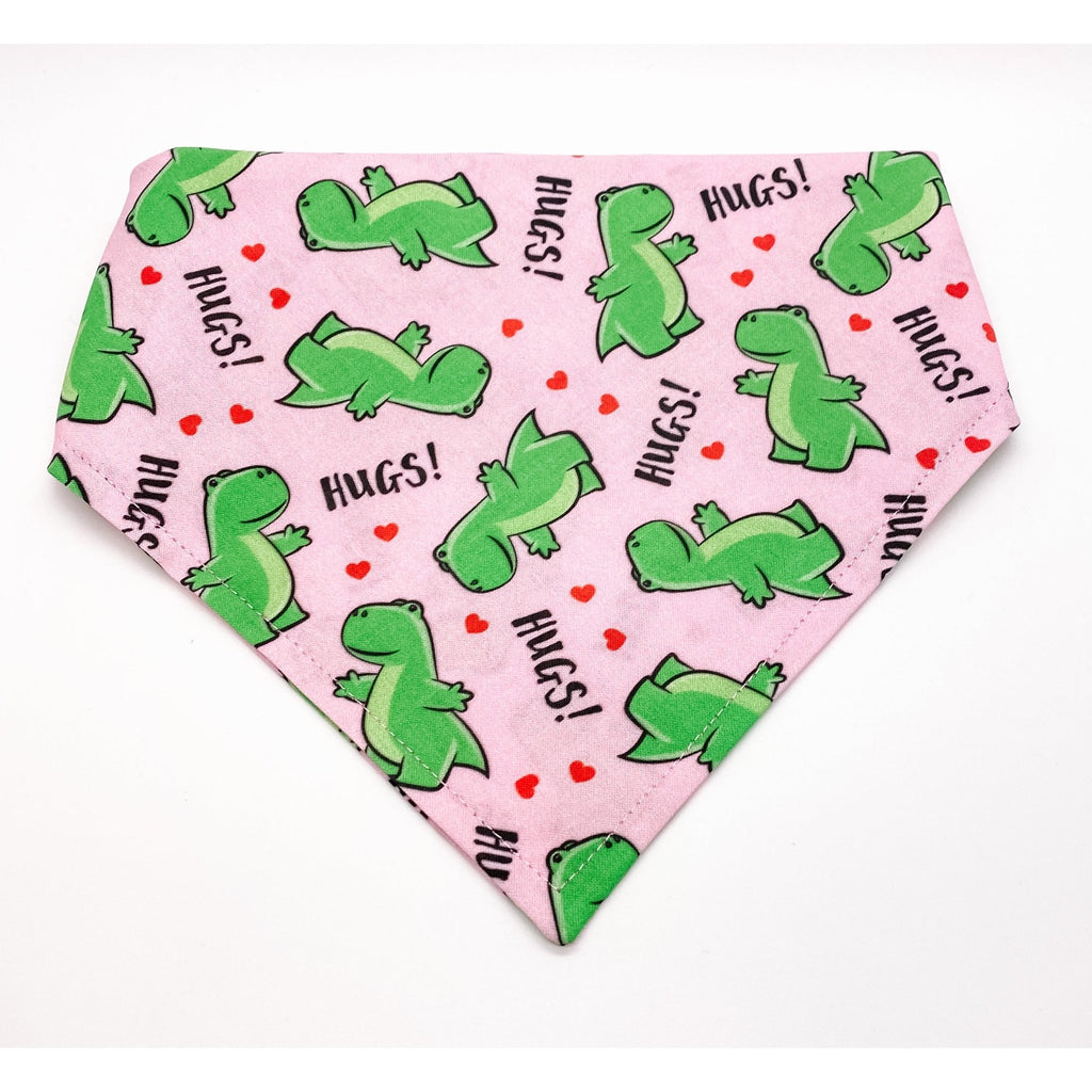 Dinosaur Hugs Bandana - Jersey Border Collars