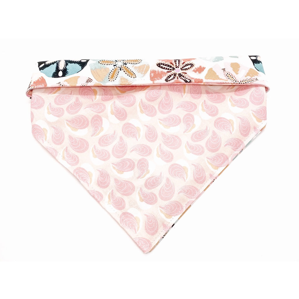 Sand Dollar / Pink Oysters Bandana - Reversible - Jersey Border Collars