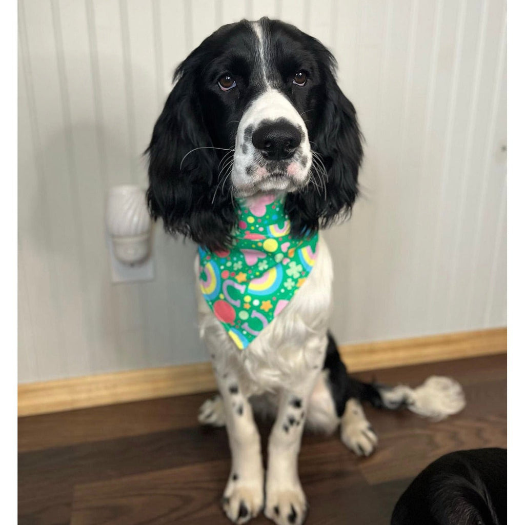 Lucky Charms Bandana - Jersey Border Collars