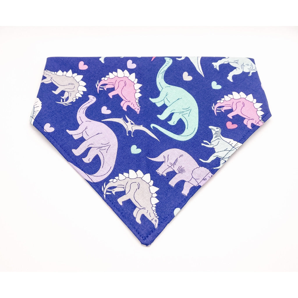 Dinosaur Hearts Bandana - Jersey Border Collars