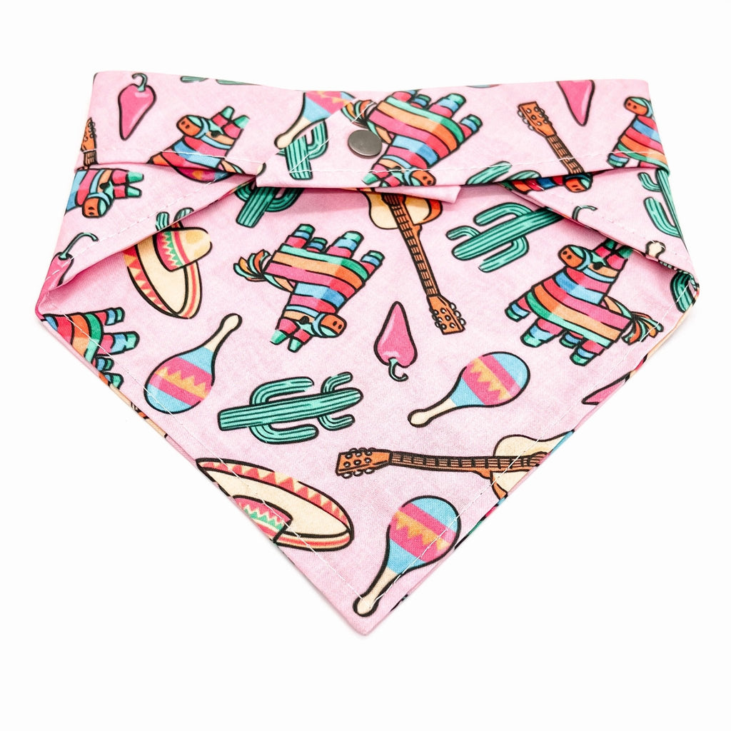 Pink Fiesta Bandana - Jersey Border Collars