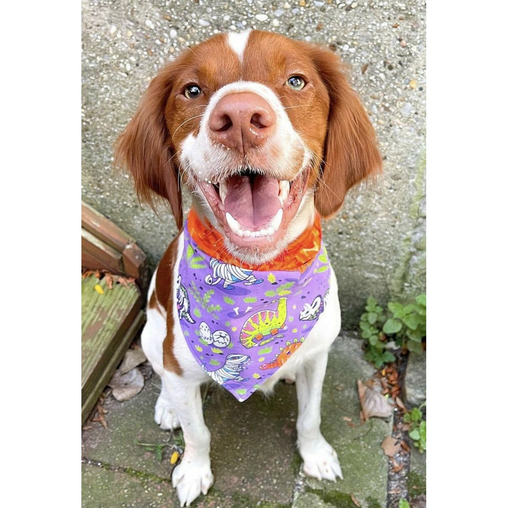 Spooky Scary Skeletons / Lava Bandana - Reversible - Jersey Border Collars