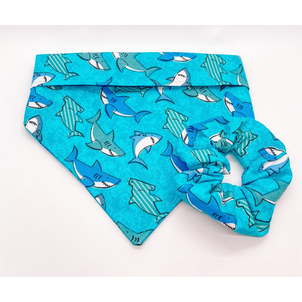 Shark Bandanna - Jersey Border Collars