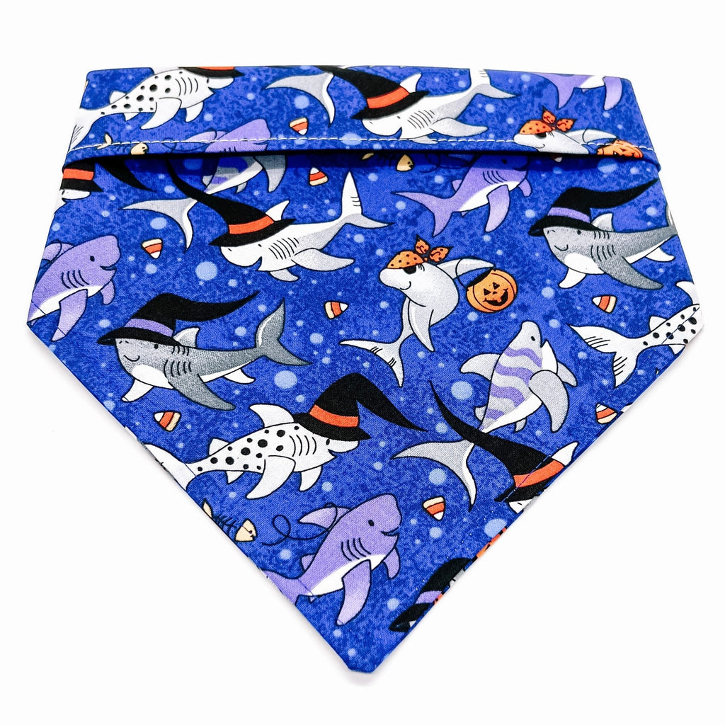 Spooky Shark Boo Boo Boo Bandana - Jersey Border Collars