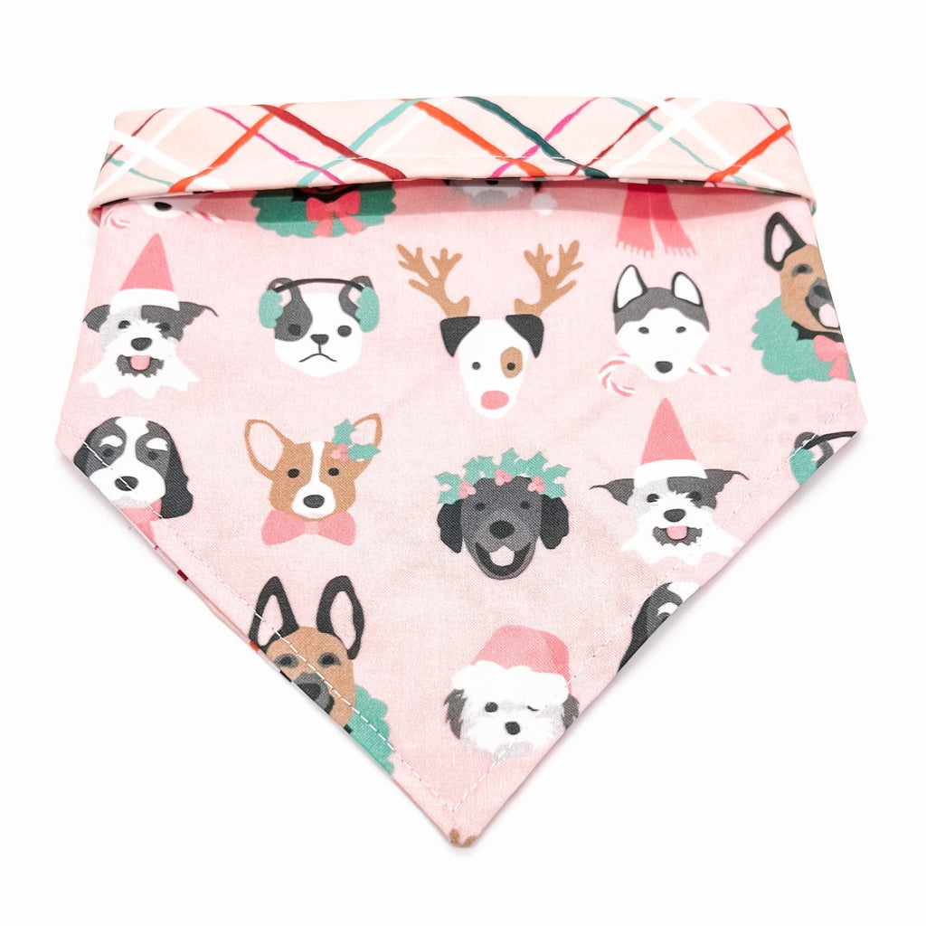 Deck The Paws Bandana - Reversible - Jersey Border Collars