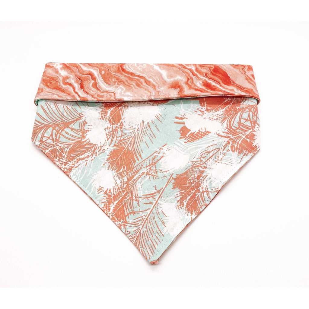 Creamsicle / Feather Bandana - Reversible - Jersey Border Collars