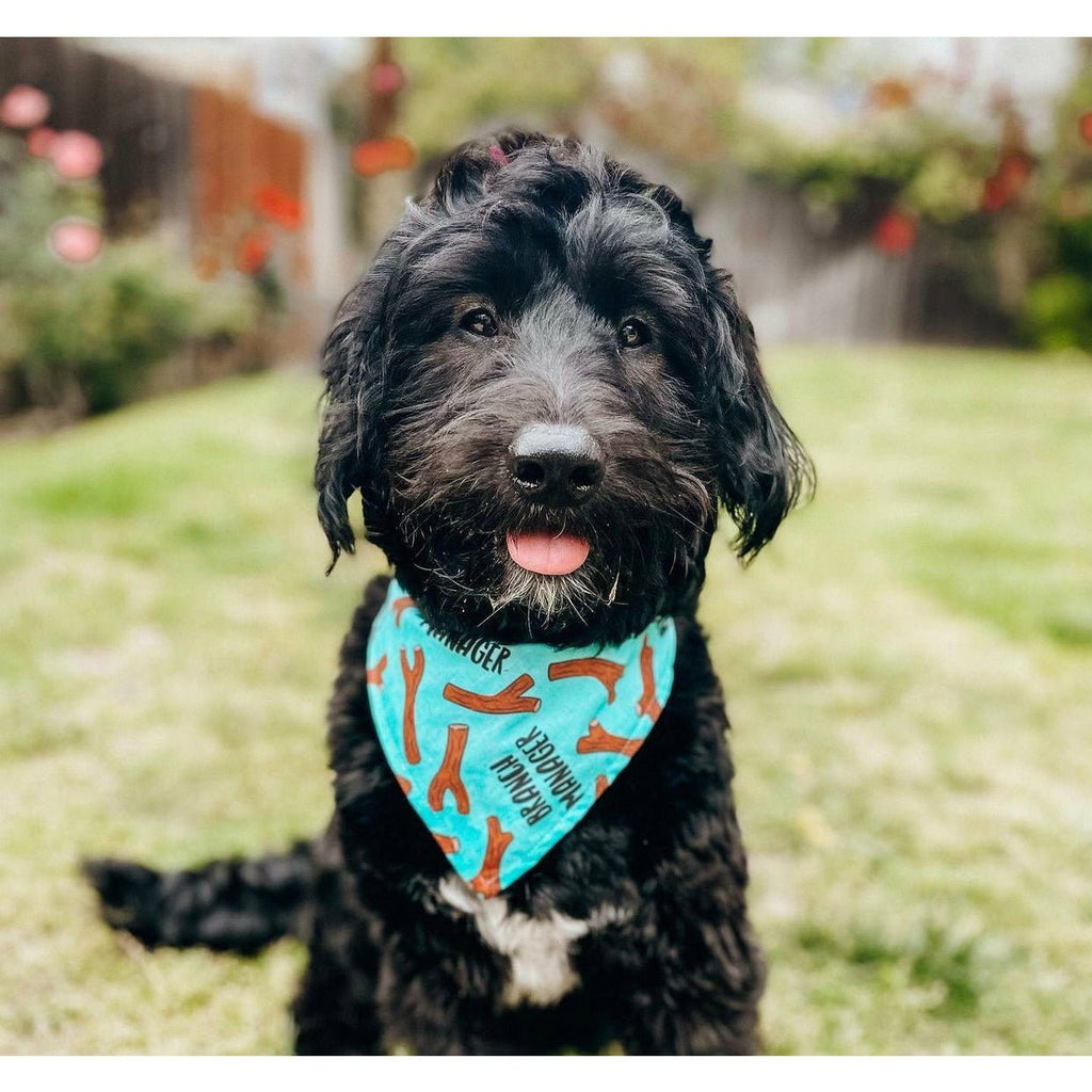 Promoted Bandana - Reversible - Jersey Border Collars