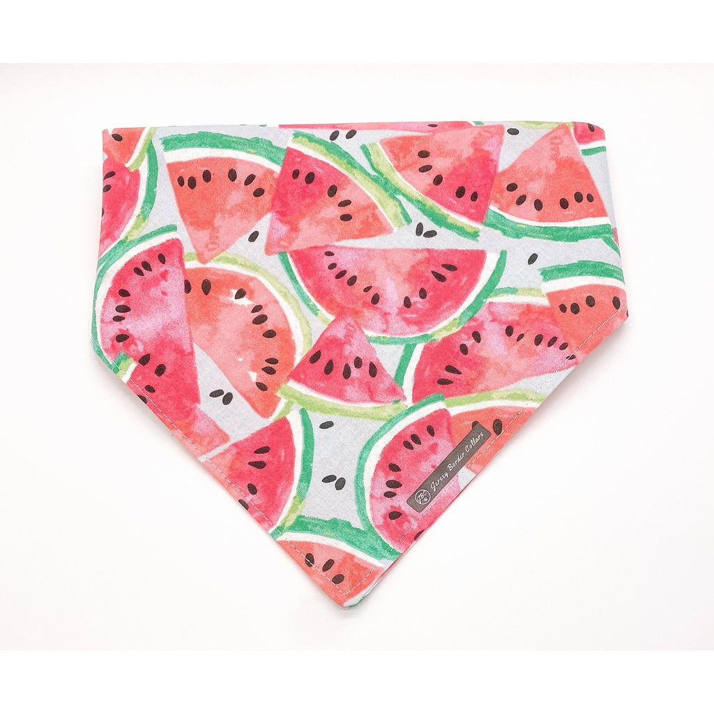 Watermelon Bandana - Jersey Border Collars