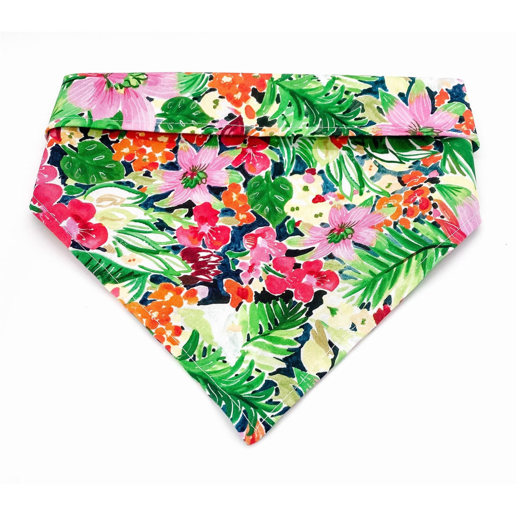 Tropical Rainforest Bandana - Jersey Border Collars