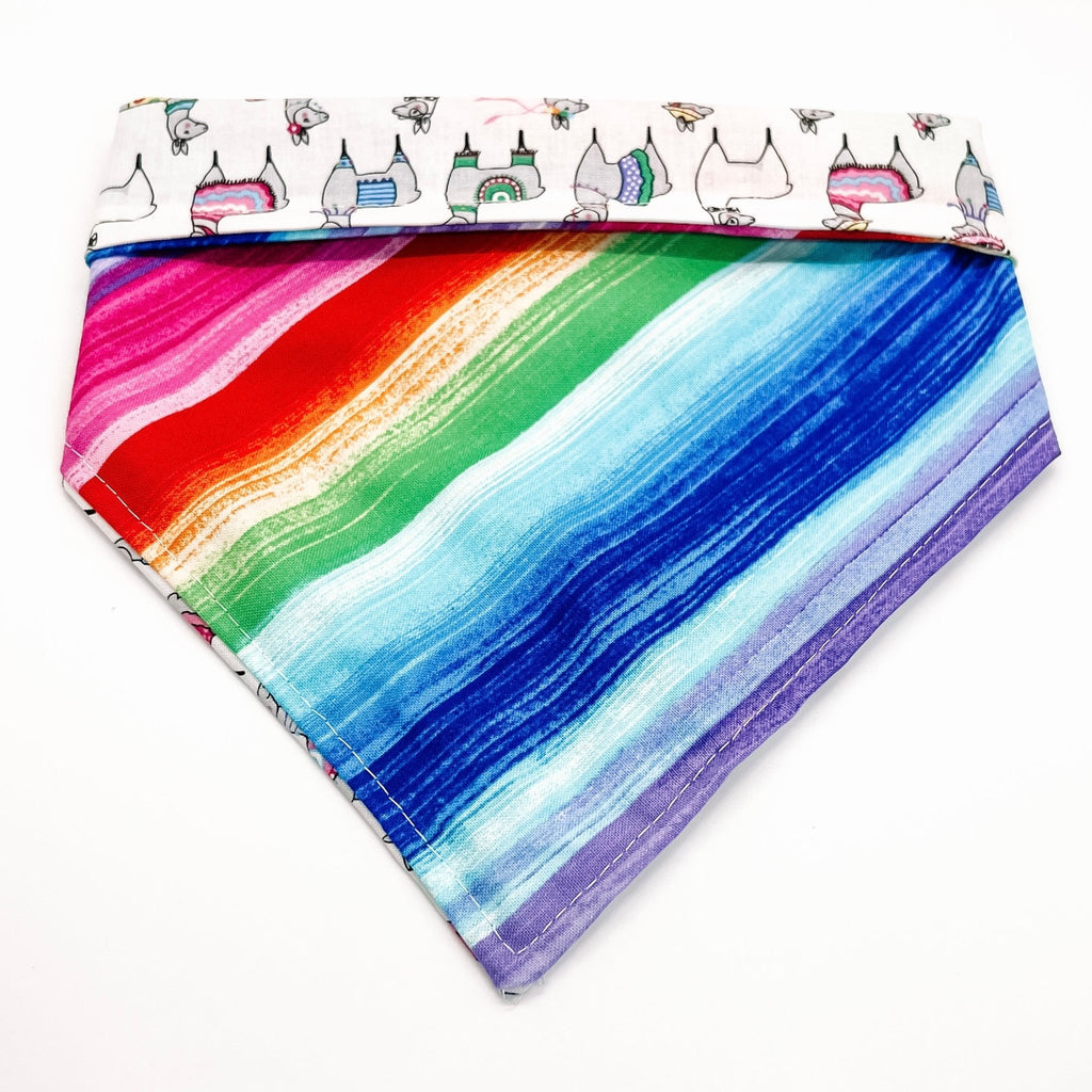 Cinco de Llama Bandana - Reversible - Jersey Border Collars