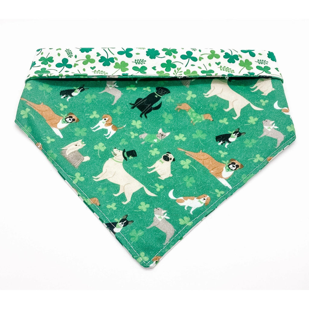 St. Patty Pups / Clover - Reversible - Jersey Border Collars