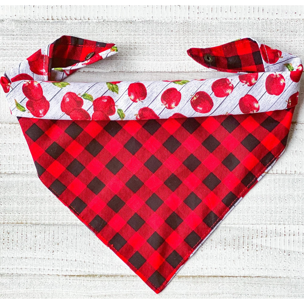 Apple Plaid Bandana - Reversible - Jersey Border Collars