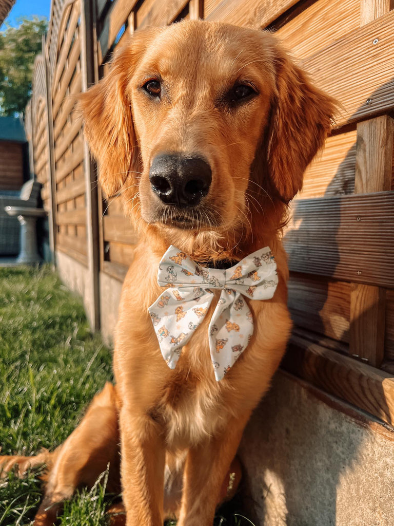 Baby Animals Sailor Bow Tie - Jersey Border Collars