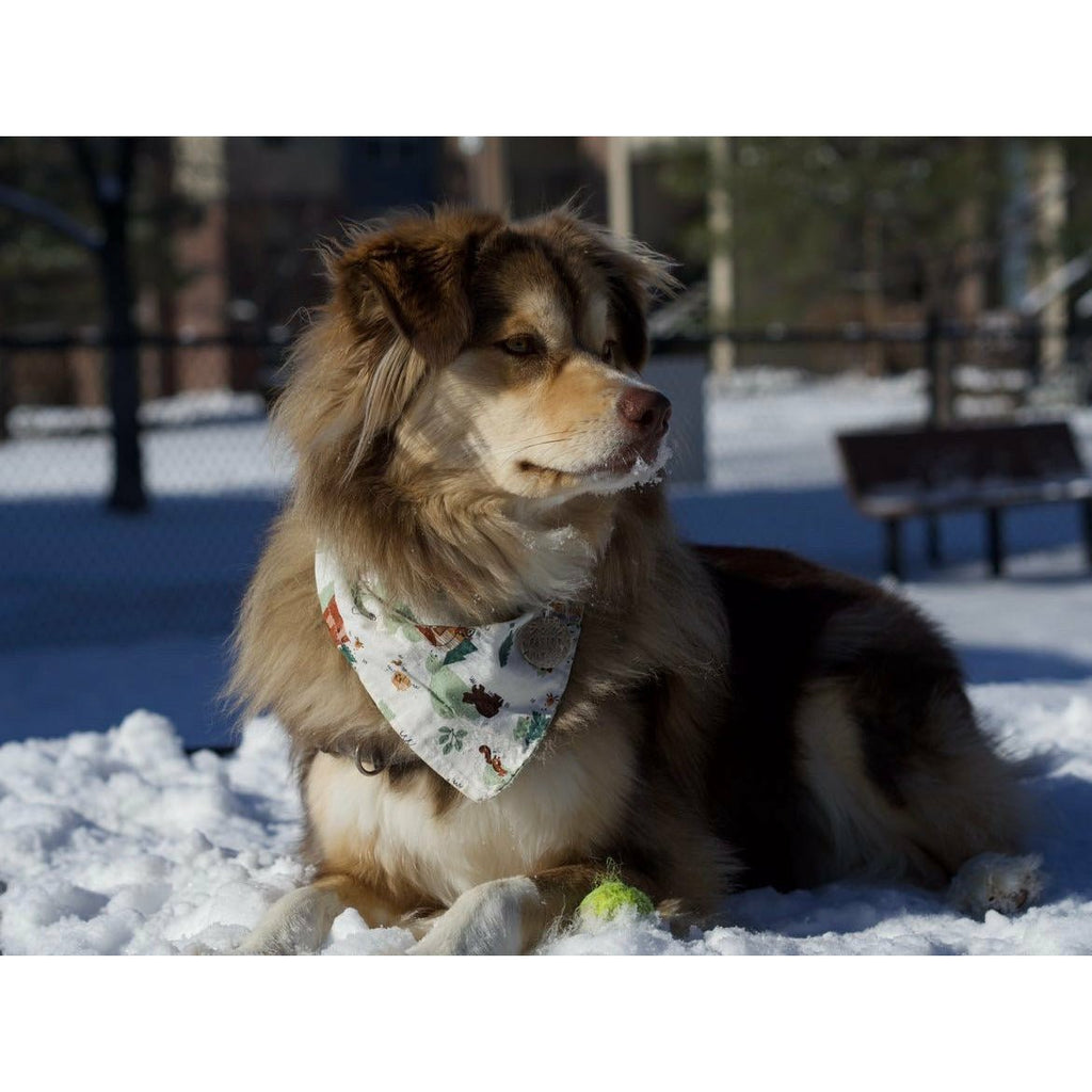 Camp Woodland Bandana - Jersey Border Collars