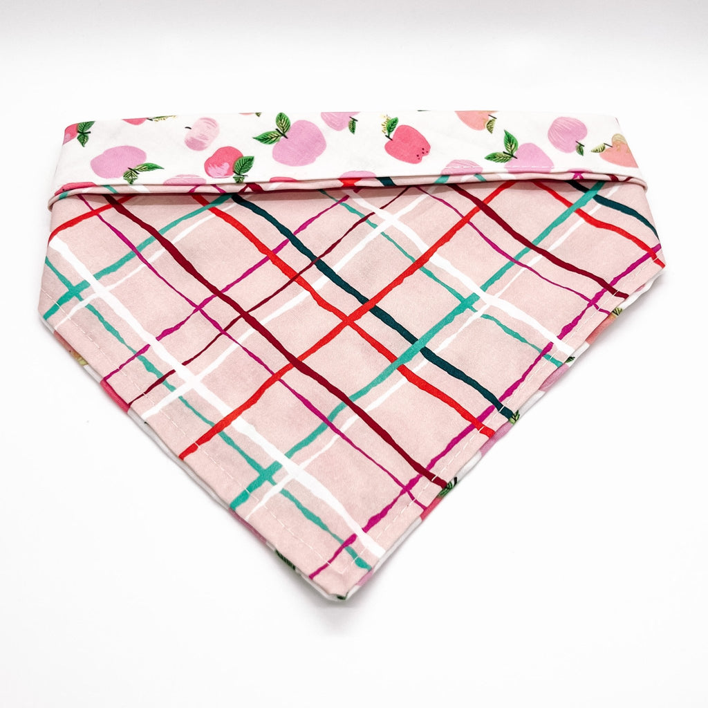 Pink Apple Picking / Plaid Bandana - Reversible - Jersey Border Collars