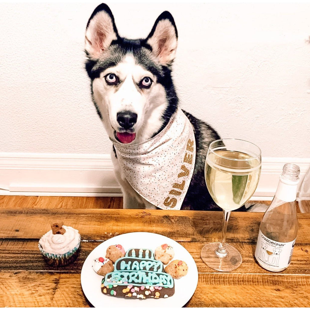 Happy Birthday Three Tier Cookie Cupcake Dog Treat Set - Jersey Border Collars