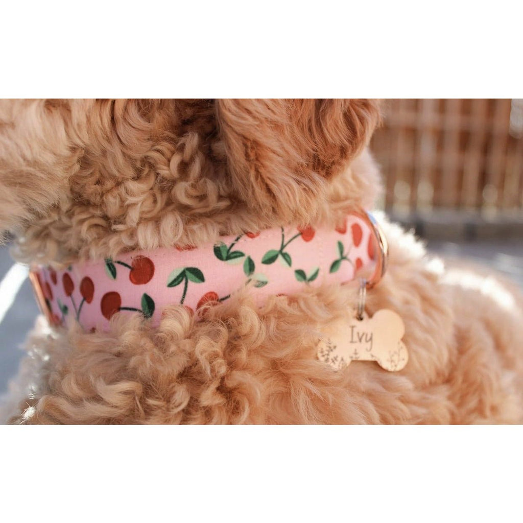 Pink Cherry Adjustable Collar - Jersey Border Collars