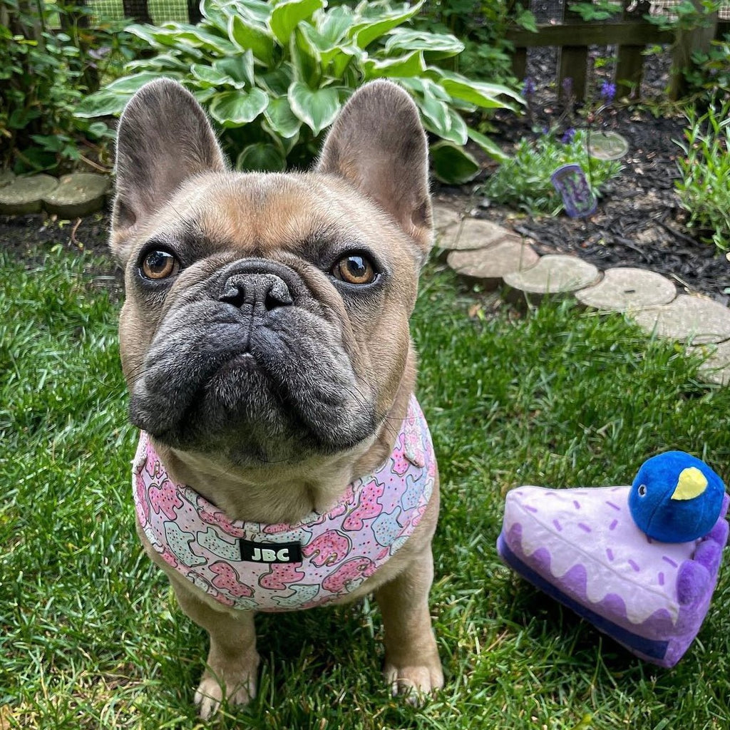 Pink Animal Cracker Adjustable Harness - Jersey Border Collars