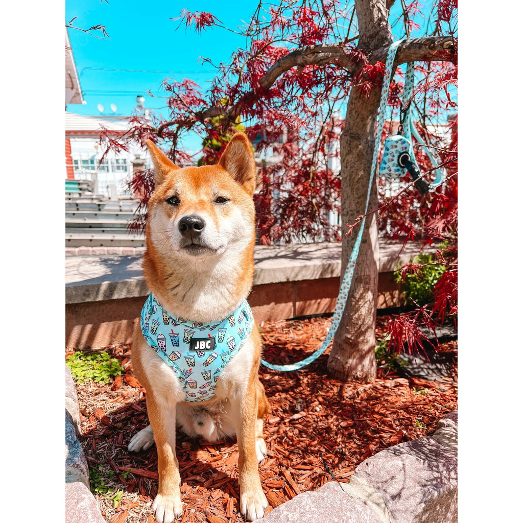 Blue Bobalicious Adjustable Harness - Jersey Border Collars