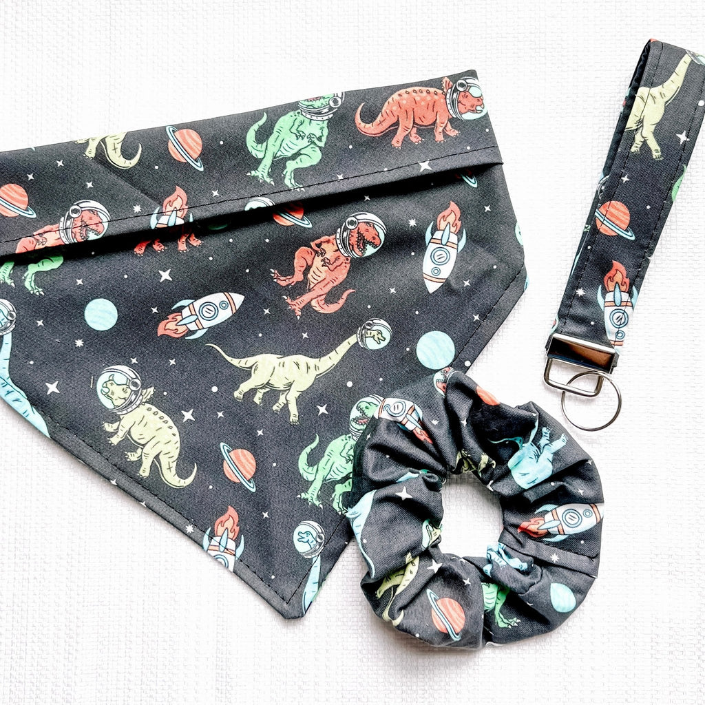 Space Dinos Bandana - Jersey Border Collars