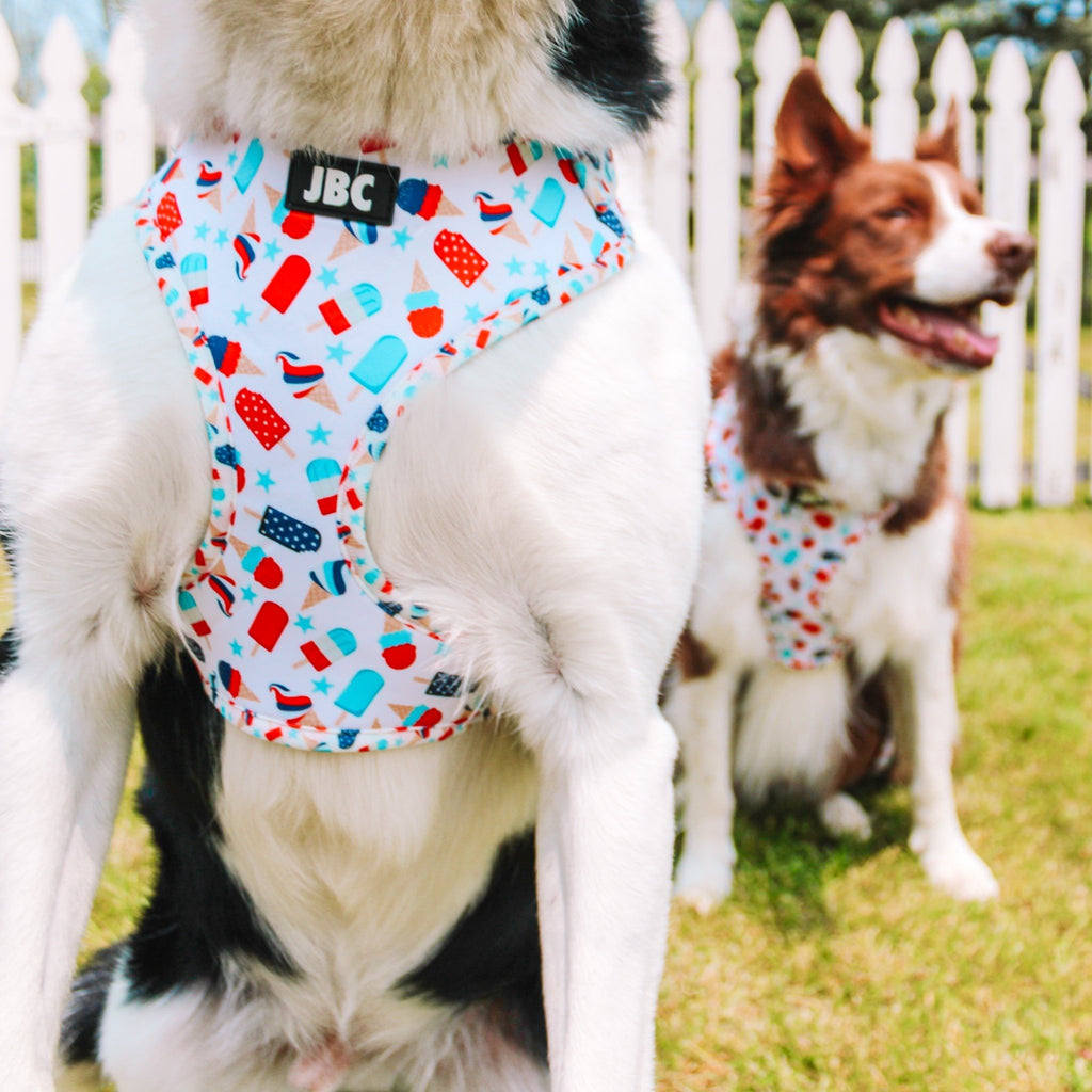 Pawtriotic Adjustable Harness - Jersey Border Collars